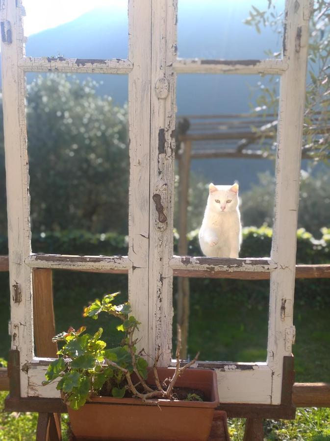 Le Rotte Balestrino